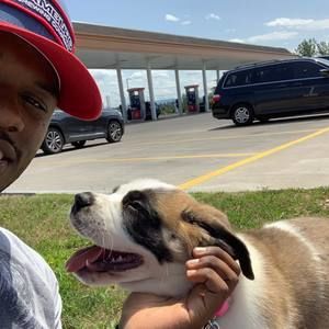 Meet your Posher, Dennis